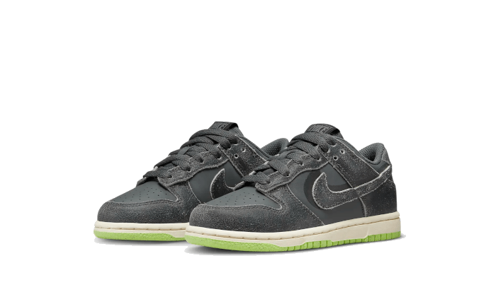 Dunk Low Swoosh Shadow Iron Grey Copii (PS) (DQ6216-001) - 28 EU - 11C - Gray | SOSUKICKS