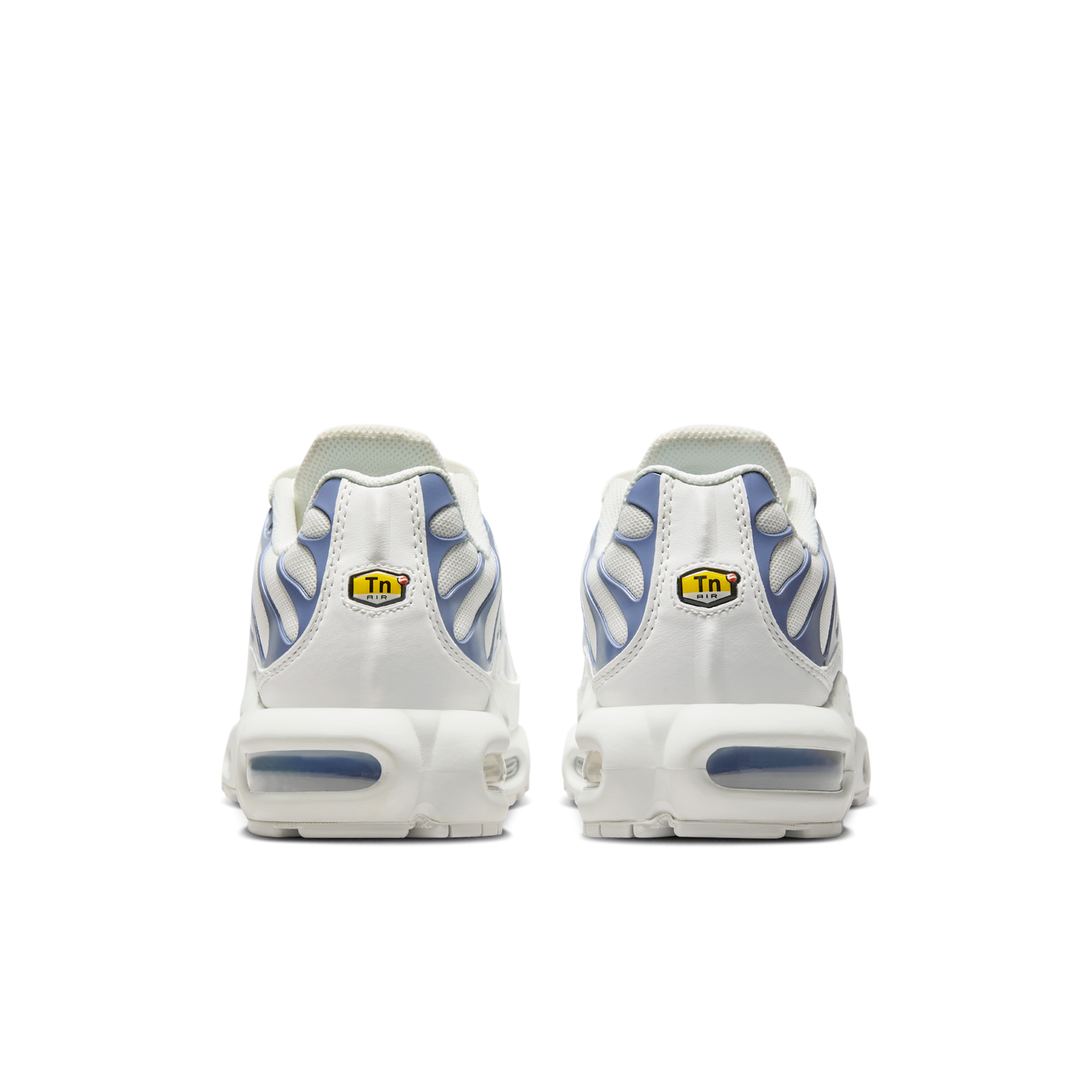 Nike Air Max Plus Ashen Slate (Women's)