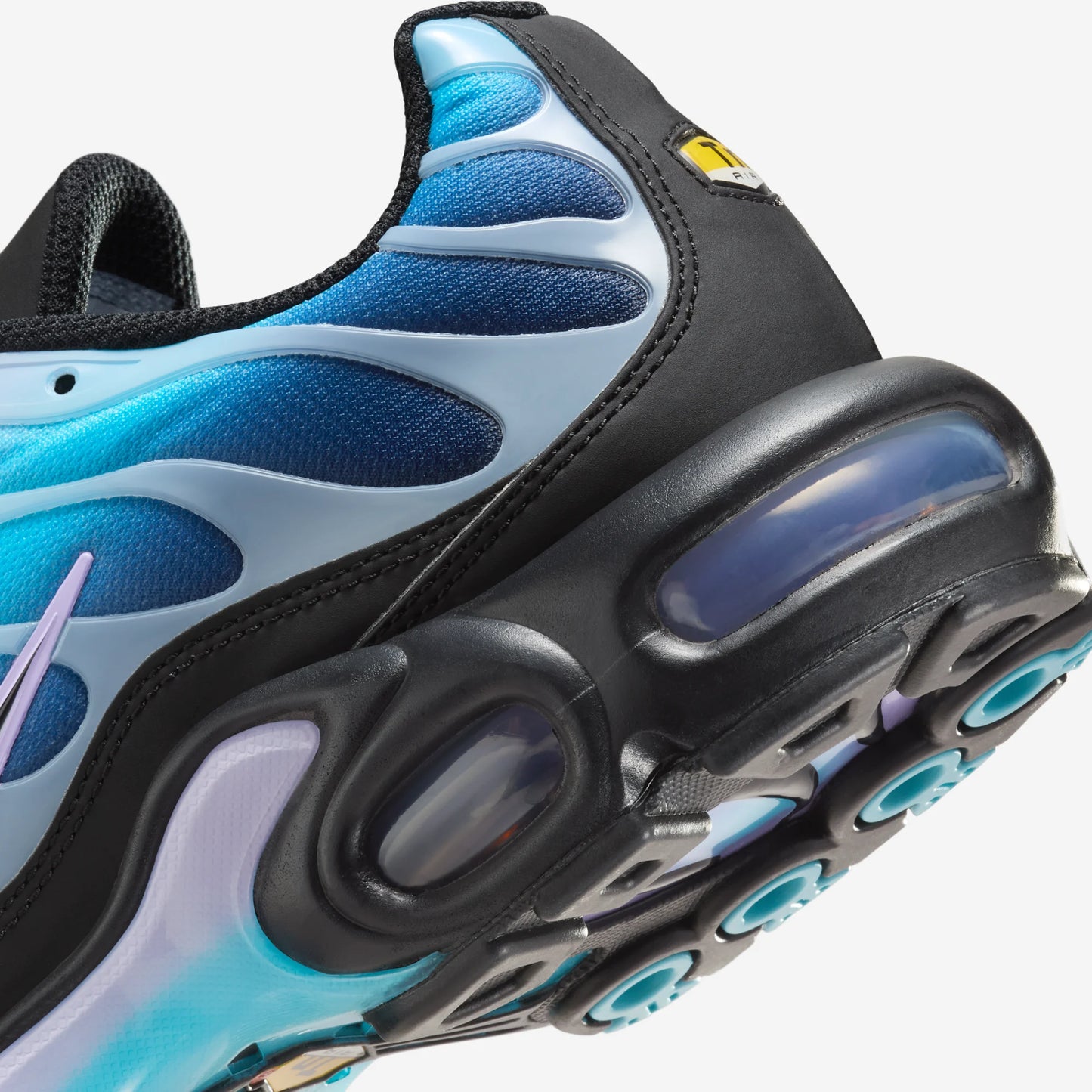Nike Air Max Plus Black Hydrangeas (Women's)