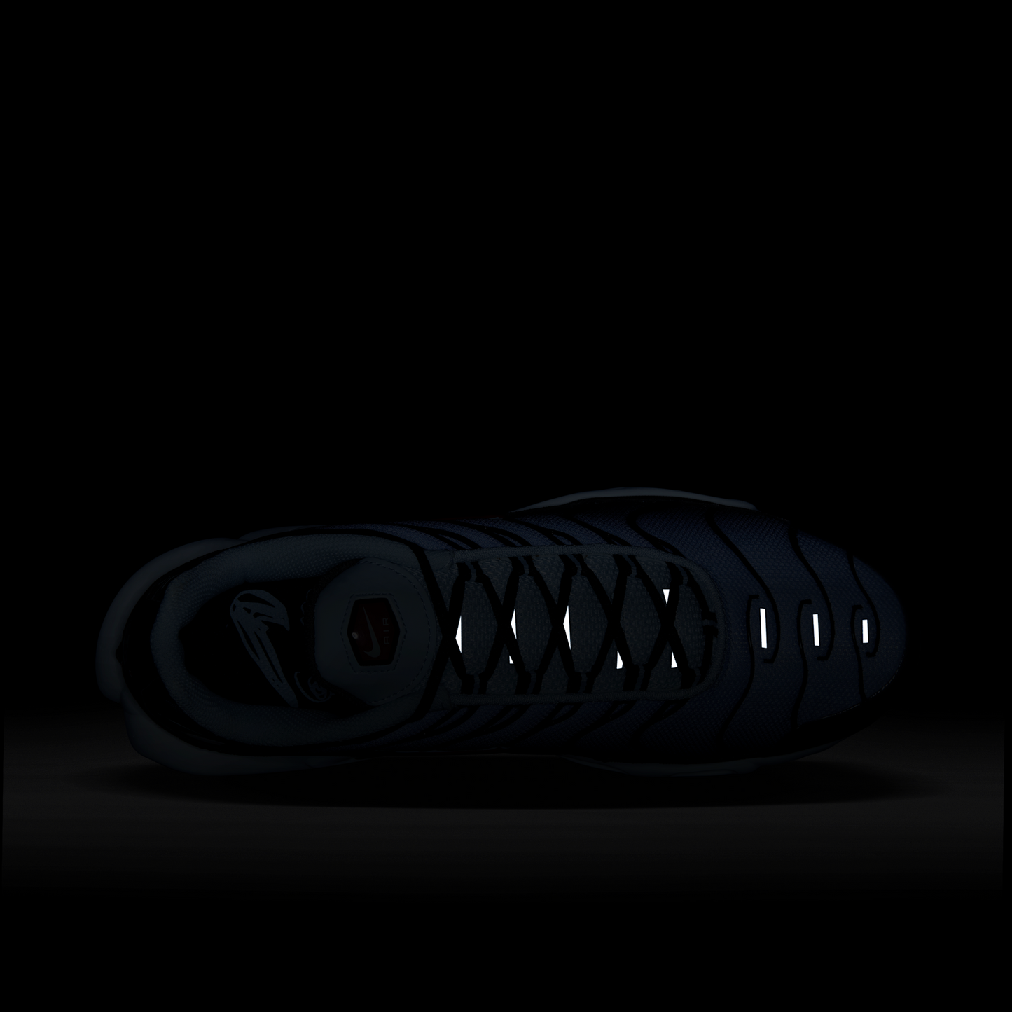 Nike Air Max Plus Swoosh Pack Blue Tint