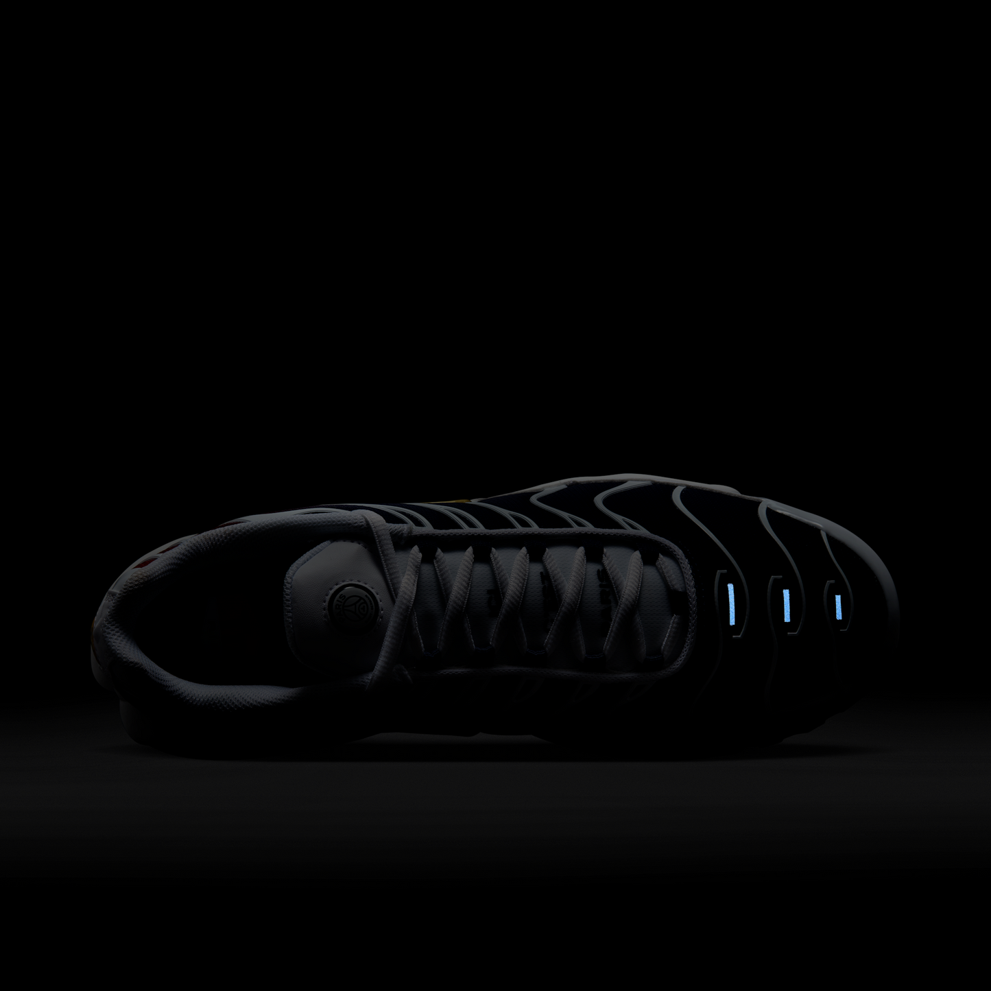 Nike Air Max Plus PSG