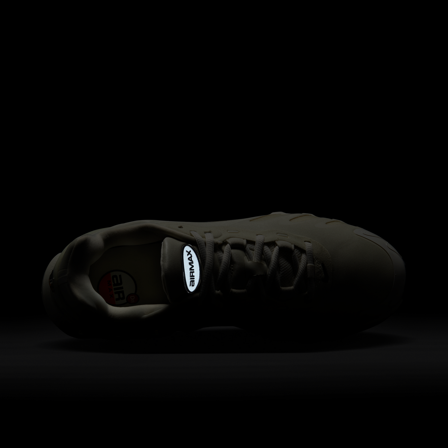 Nike Air Max Dn8 Fossil Black (Women's)