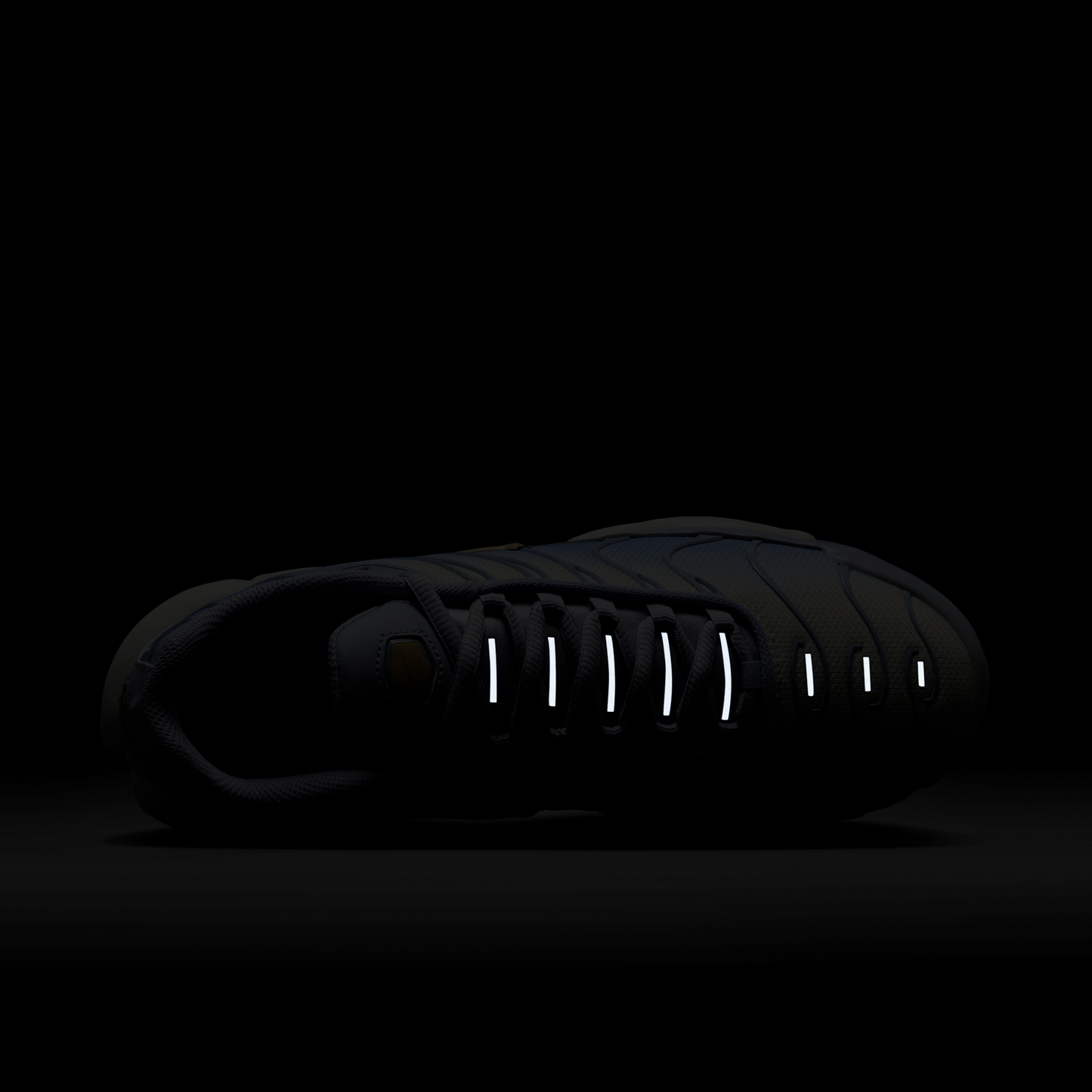 Nike Air Max Plus Daybreak (Women's)
