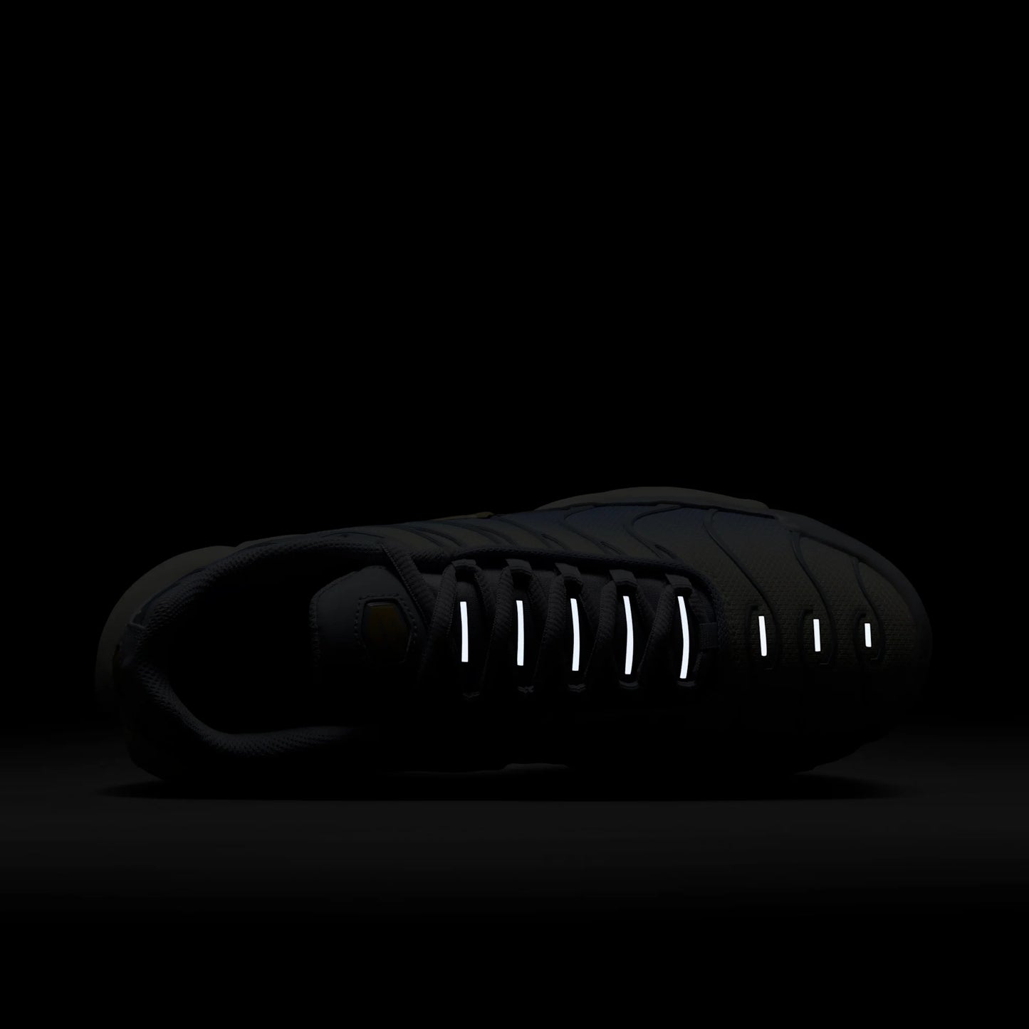 Nike Air Max Plus Daybreak (Women's)