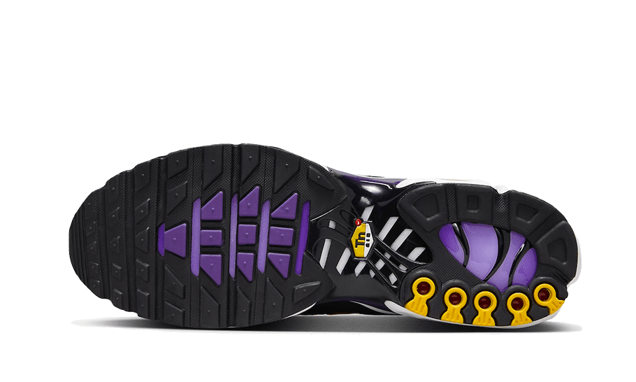 Air Max Plus Voltage Purple (CD0609-024) - 36.5 EU - 4.5 US - Purple | SOSUKICKS