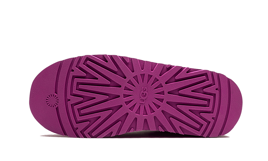 UGG Tazz Slipper Mangosteen (Women's)