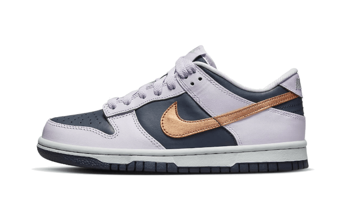 Dunk Low SE Copper Swoosh (DX1663-400) - EU 35.5–40 - Orange | SOSUKICKS