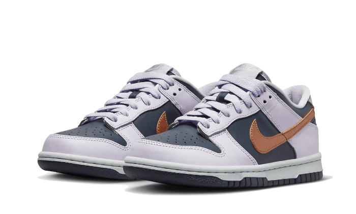 Dunk Low SE Copper Swoosh (DX1663-400) - 36 EU - 4Y US - Orange | SOSUKICKS