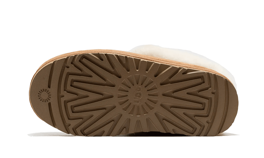 Tazzlita Chestnut (1146390-CHE) - 39 EU - 8 US - Brown | SOSUKICKS