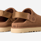 UGG Goldenstar Clog Chestnut (Women's)