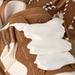 UGG Astromel Chestnut (Women's)