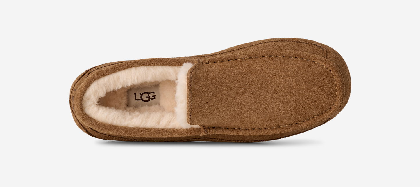UGG Ascot Slipper Chestnut
