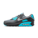 Nike Air Max 90 Cool Grey Dusty Cactus Black Wolf Grey