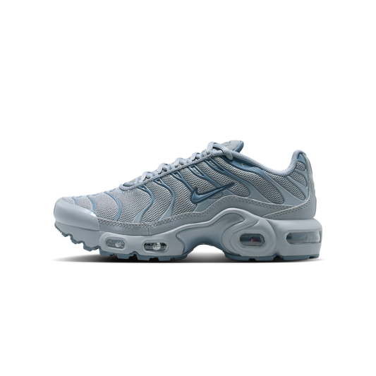Nike Air Max Plus Stealth Monsoon Blue (GS)