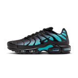 Nike Air Max Plus Black Dusty Cactus