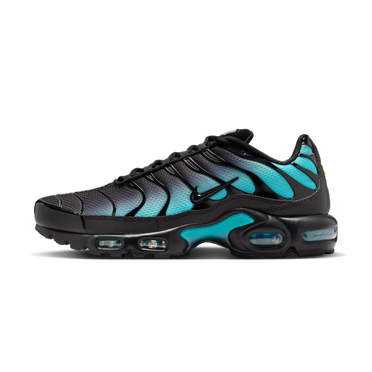Nike Air Max Plus Black Dusty Cactus