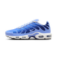 Nike Air Max Plus Royal Pulse