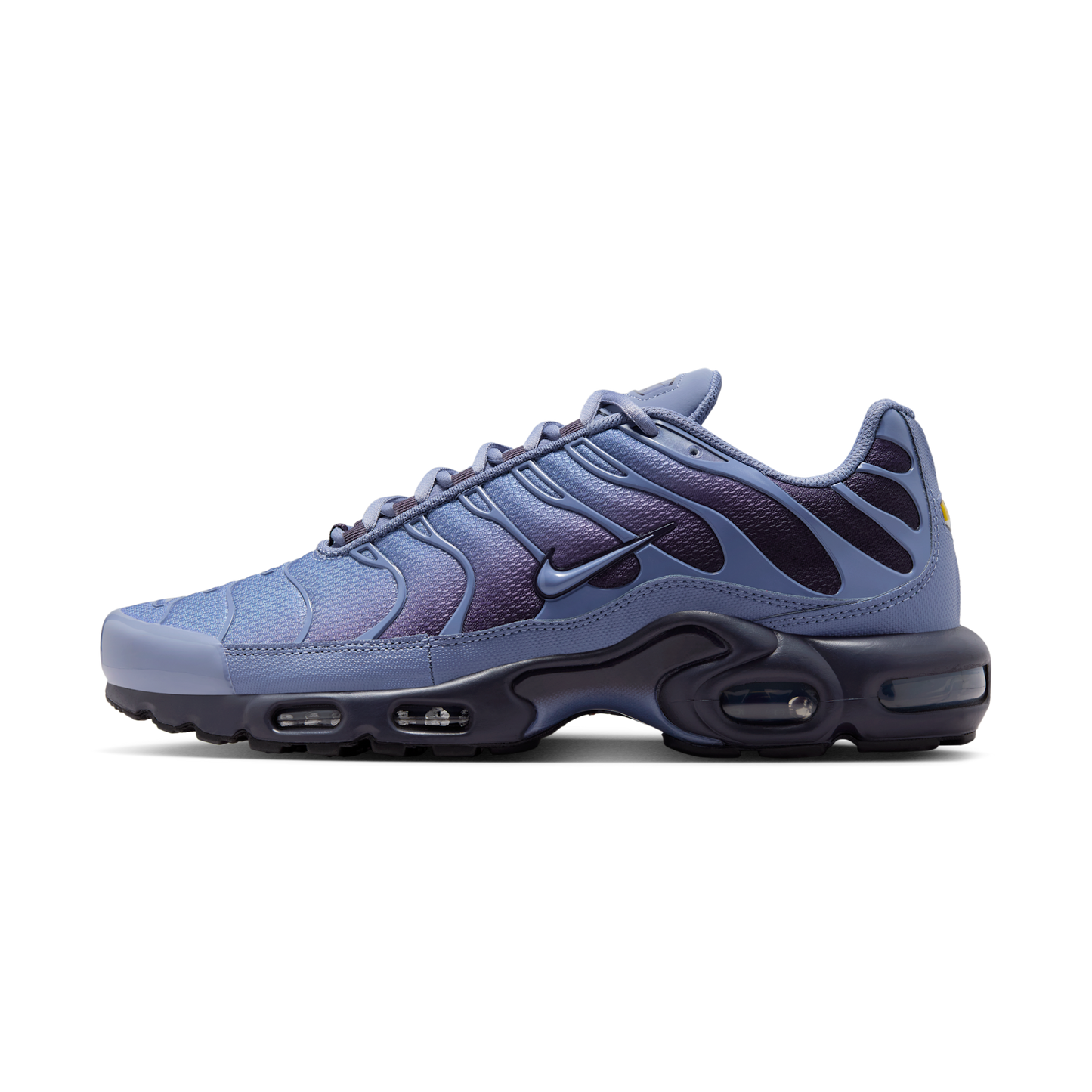 Nike Air Max Plus World Indigo