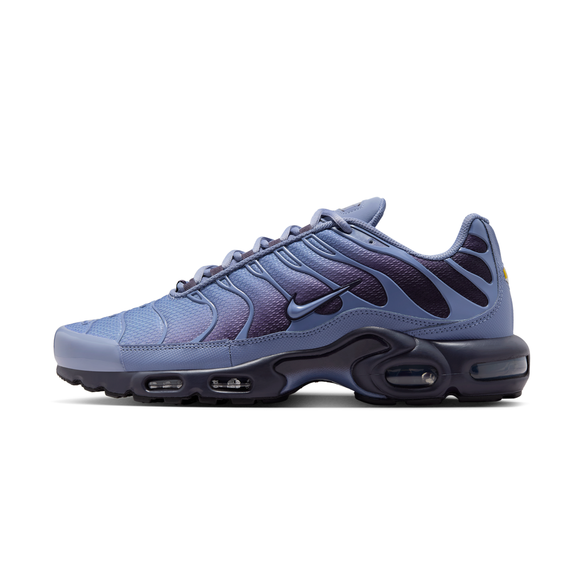 Nike Air Max Plus World Indigo