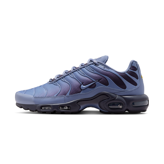 Nike Air Max Plus World Indigo