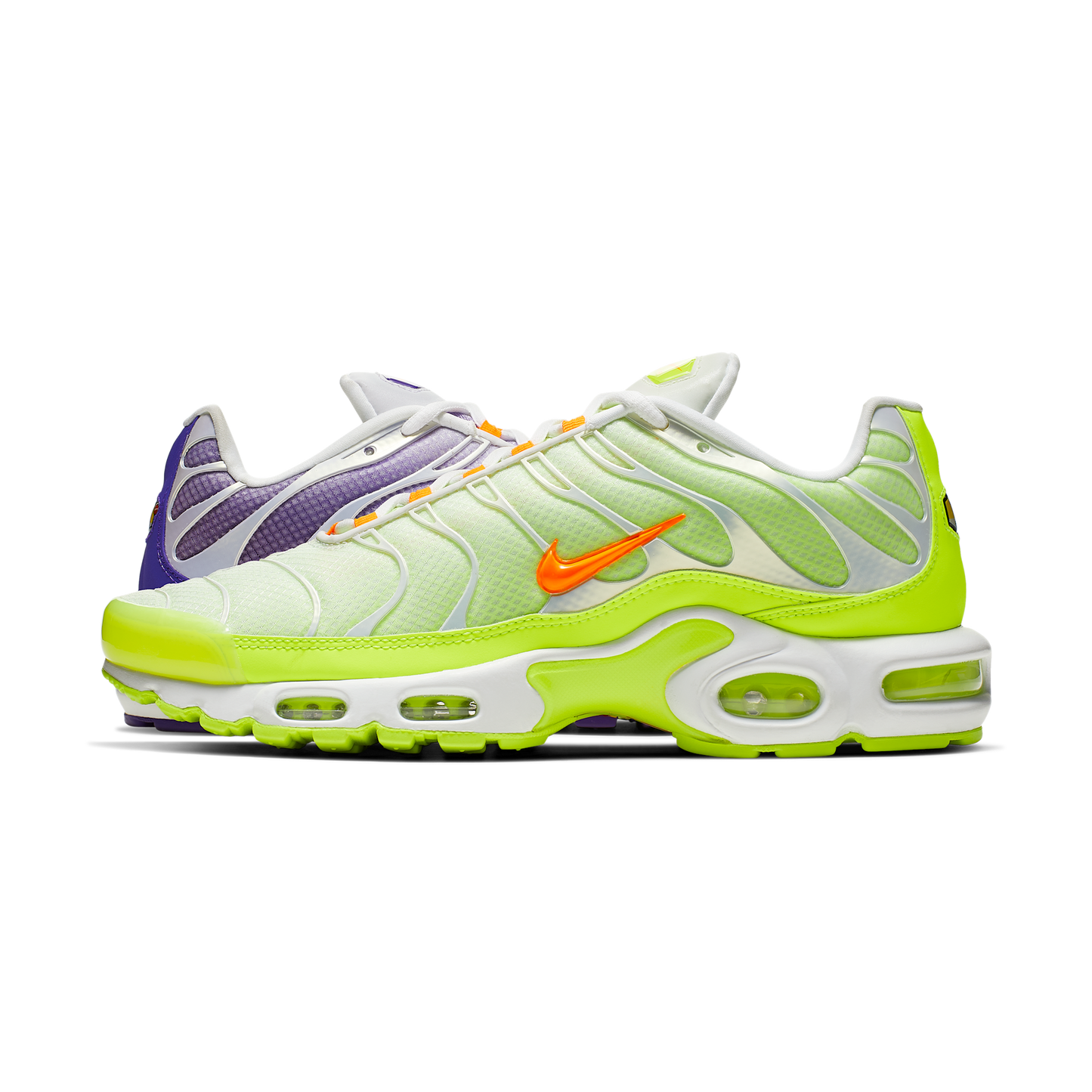 Nike Air Max Plus Color Flip Pack Grape