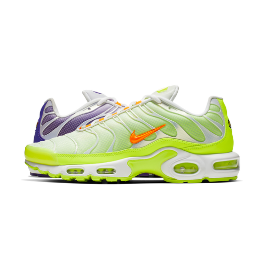 Nike Air Max Plus Color Flip Pack Grape