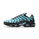 Nike Air Max Plus Aqua Blue