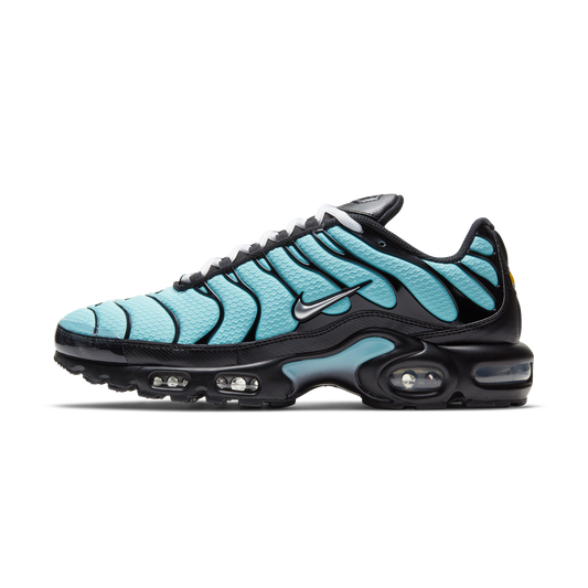 Nike Air Max Plus Aqua Blue