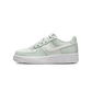 Nike Air Force 1 Low Light Silver Spruce Aura White Sail (GS)