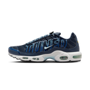 Nike Air Max Plus Tuned Air Obsidian