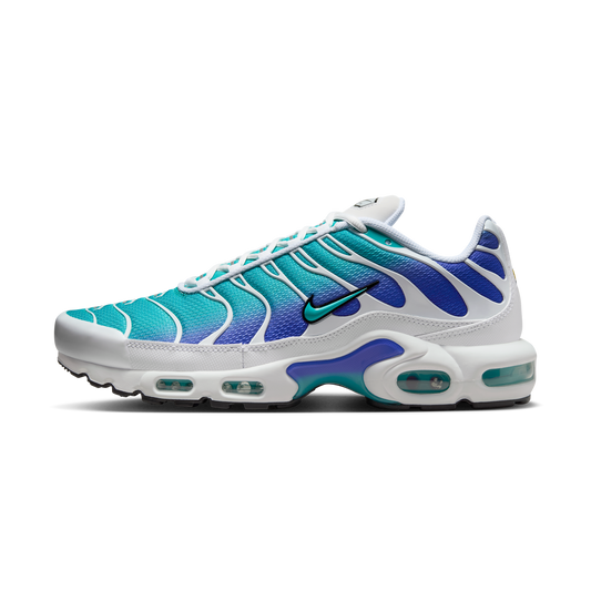 Nike Air Max Plus Aqua