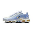 Nike Air Max Plus Daybreak (Women's)