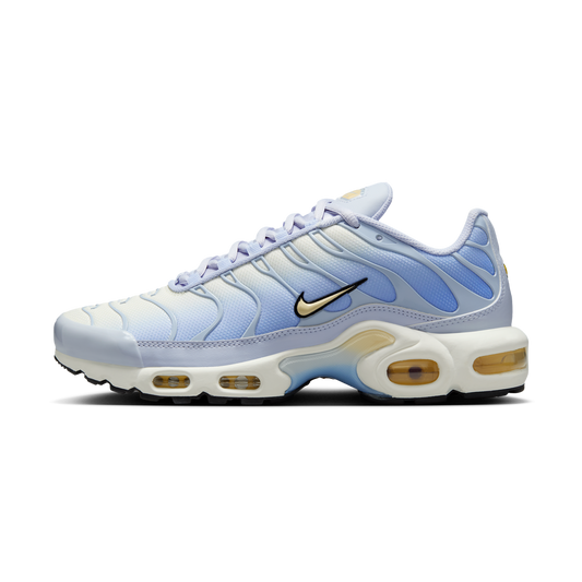 Nike Air Max Plus Daybreak (Women's)