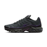 Nike Air Max Plus OG Iron Grey Wild Grape
