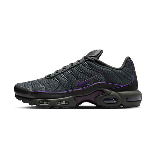 Nike Air Max Plus OG Iron Grey Wild Grape