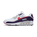 Nike Air Max 90 Eggplant (Women's)