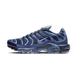 Nike Air Max Plus Obsidian Aluminum