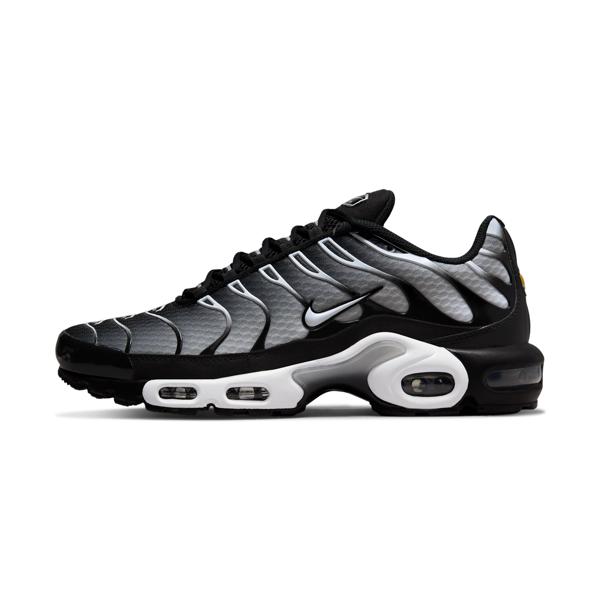 Nike Air Max Plus Black Silver White