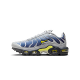 Nike Air Max Plus Obsidian Silver (GS)