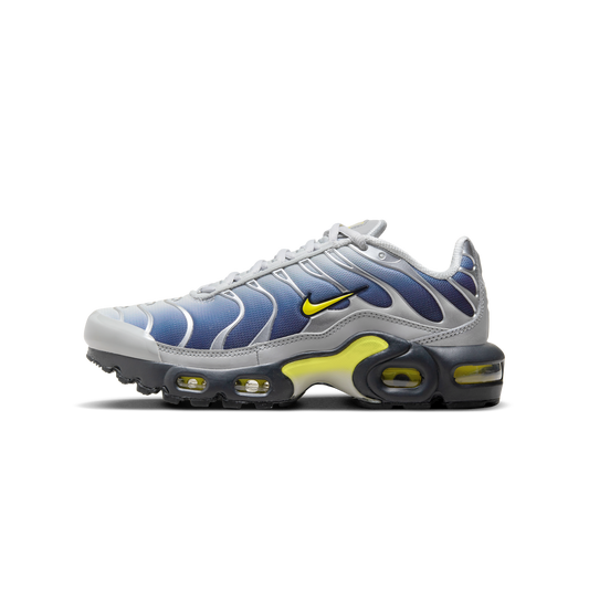 Nike Air Max Plus Obsidian Silver (GS)