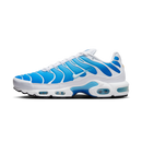 Nike Air Max Plus Sky Blue