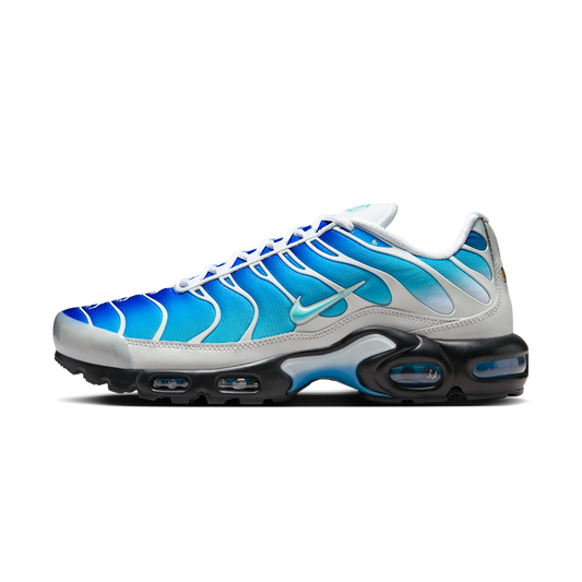 Nike Air Max Plus One Block Down Light Photo Blue