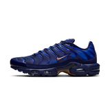 Nike Air Max Plus French Football Federation
