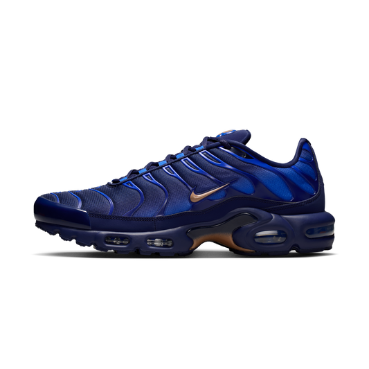 Nike Air Max Plus French Football Federation