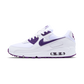 Nike Air Max 90 Color Pack Court Purple