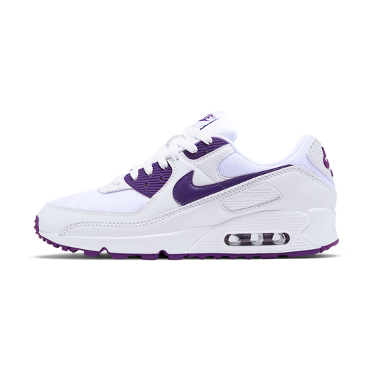 Nike Air Max 90 Color Pack Court Purple
