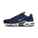 Nike Air Max Plus FFF