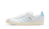 Gazelle Argentina
