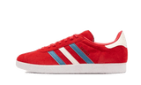 Gazelle Chile