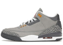 Jordan 3 Retro Cool Grey (2021)